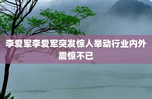 李爱军李爱军突发惊人举动行业内外震惊不已
