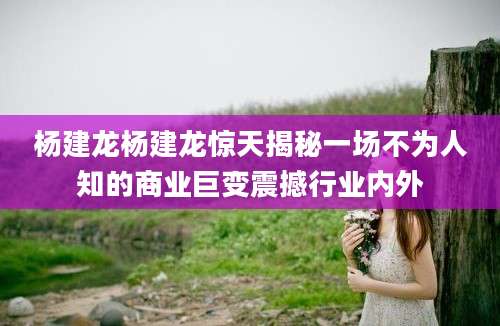 杨建龙杨建龙惊天揭秘一场不为人知的商业巨变震撼行业内外