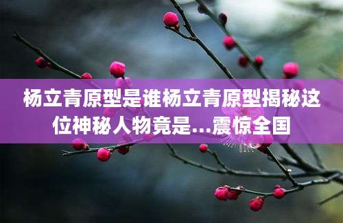 杨立青原型是谁杨立青原型揭秘这位神秘人物竟是...震惊全国