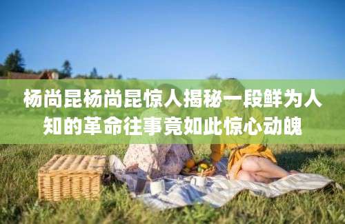 杨尚昆杨尚昆惊人揭秘一段鲜为人知的革命往事竟如此惊心动魄