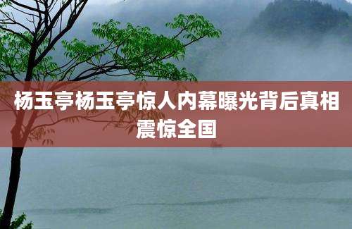 杨玉亭杨玉亭惊人内幕曝光背后真相震惊全国