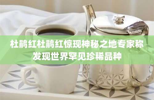 杜鹃红杜鹃红惊现神秘之地专家称发现世界罕见珍稀品种