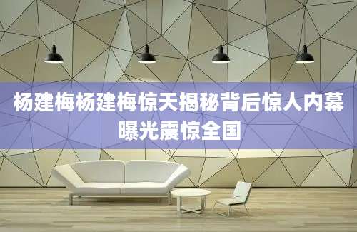 杨建梅杨建梅惊天揭秘背后惊人内幕曝光震惊全国
