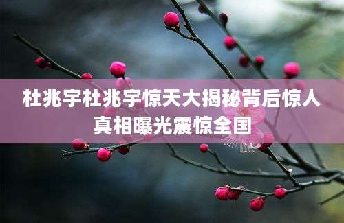 杜兆宇杜兆宇惊天大揭秘背后惊人真相曝光震惊全国
