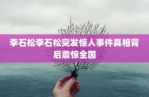 李石松李石松突发惊人事件真相背后震惊全国