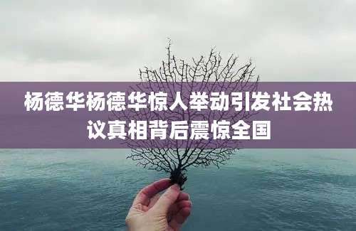 杨德华杨德华惊人举动引发社会热议真相背后震惊全国