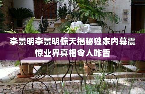 李景明李景明惊天揭秘独家内幕震惊业界真相令人咋舌