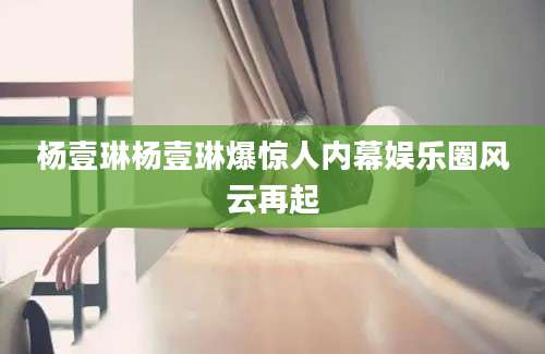 杨壹琳杨壹琳爆惊人内幕娱乐圈风云再起