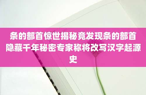 条的部首惊世揭秘竟发现条的部首隐藏千年秘密专家称将改写汉字起源史