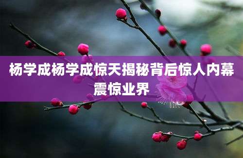 杨学成杨学成惊天揭秘背后惊人内幕震惊业界