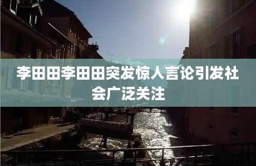 李田田李田田突发惊人言论引发社会广泛关注