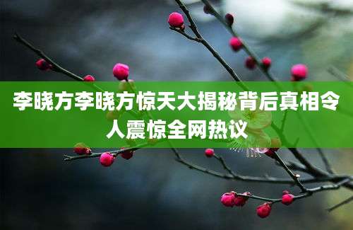 李晓方李晓方惊天大揭秘背后真相令人震惊全网热议