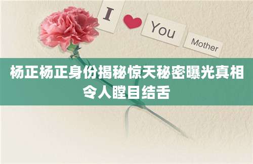 杨正杨正身份揭秘惊天秘密曝光真相令人瞠目结舌