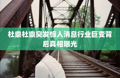 杜鼎杜鼎突发惊人消息行业巨变背后真相曝光