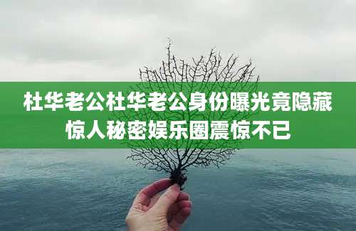杜华老公杜华老公身份曝光竟隐藏惊人秘密娱乐圈震惊不已