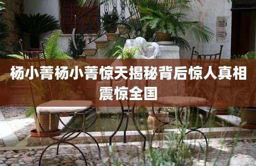 杨小菁杨小菁惊天揭秘背后惊人真相震惊全国