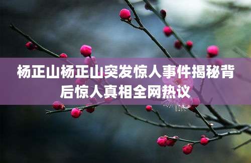 杨正山杨正山突发惊人事件揭秘背后惊人真相全网热议