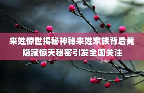 来姓惊世揭秘神秘来姓家族背后竟隐藏惊天秘密引发全国关注