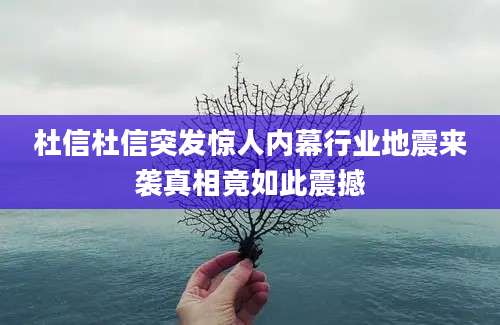 杜信杜信突发惊人内幕行业地震来袭真相竟如此震撼
