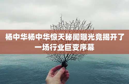 杨中华杨中华惊天秘闻曝光竟揭开了一场行业巨变序幕