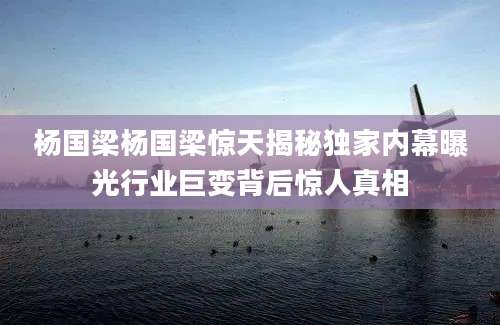 杨国梁杨国梁惊天揭秘独家内幕曝光行业巨变背后惊人真相