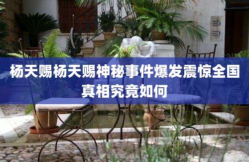杨天赐杨天赐神秘事件爆发震惊全国真相究竟如何