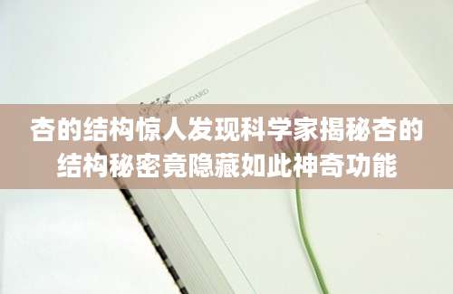 杏的结构惊人发现科学家揭秘杏的结构秘密竟隐藏如此神奇功能