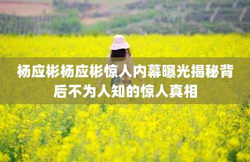 杨应彬杨应彬惊人内幕曝光揭秘背后不为人知的惊人真相