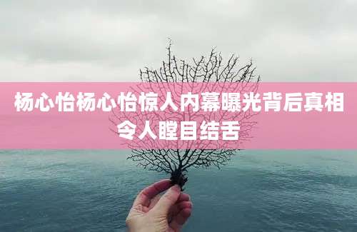 杨心怡杨心怡惊人内幕曝光背后真相令人瞠目结舌