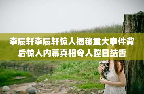 李辰轩李辰轩惊人揭秘重大事件背后惊人内幕真相令人瞠目结舌