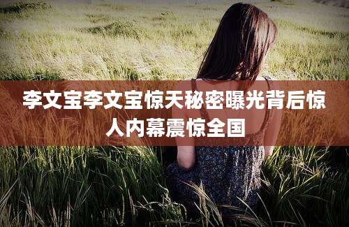 李文宝李文宝惊天秘密曝光背后惊人内幕震惊全国