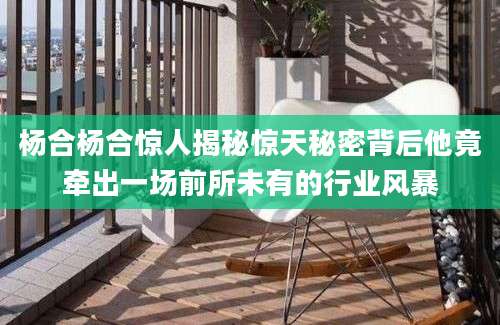 杨合杨合惊人揭秘惊天秘密背后他竟牵出一场前所未有的行业风暴