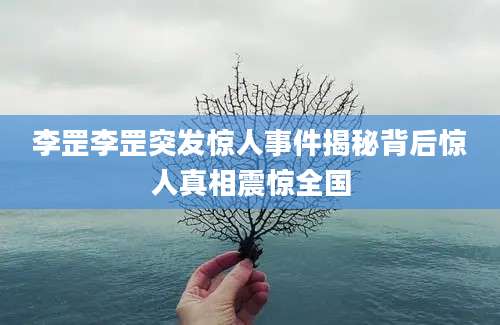 李罡李罡突发惊人事件揭秘背后惊人真相震惊全国