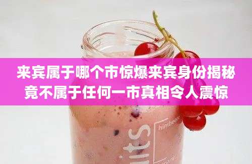 来宾属于哪个市惊爆来宾身份揭秘竟不属于任何一市真相令人震惊
