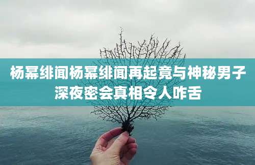 杨幂绯闻杨幂绯闻再起竟与神秘男子深夜密会真相令人咋舌