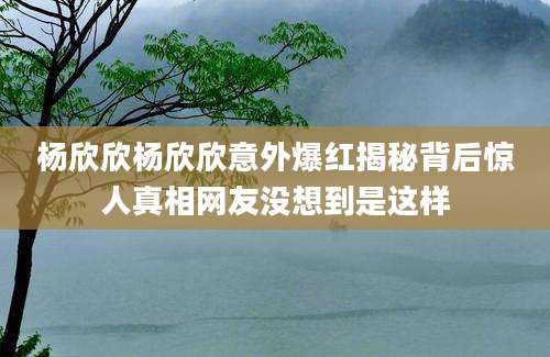 杨欣欣杨欣欣意外爆红揭秘背后惊人真相网友没想到是这样