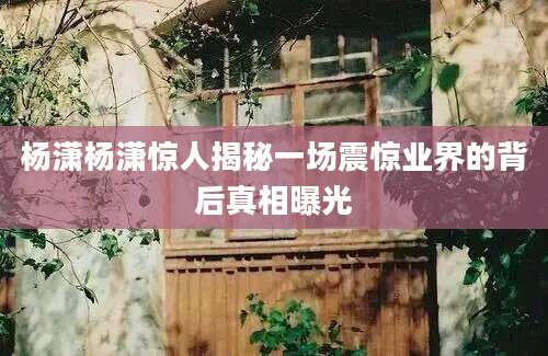 杨潇杨潇惊人揭秘一场震惊业界的背后真相曝光