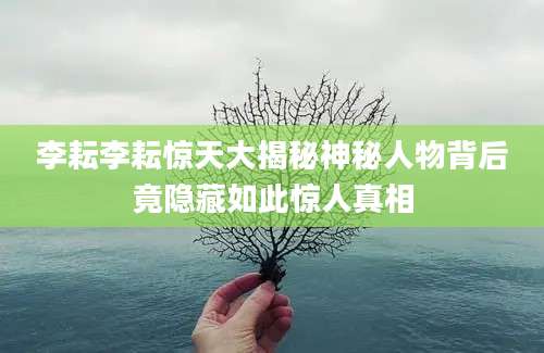 李耘李耘惊天大揭秘神秘人物背后竟隐藏如此惊人真相