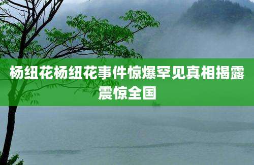杨纽花杨纽花事件惊爆罕见真相揭露震惊全国