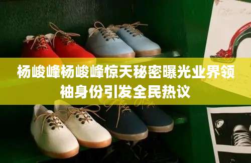 杨峻峰杨峻峰惊天秘密曝光业界领袖身份引发全民热议