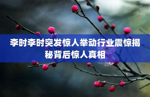 李时李时突发惊人举动行业震惊揭秘背后惊人真相