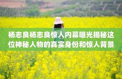 杨志良杨志良惊人内幕曝光揭秘这位神秘人物的真实身份和惊人背景