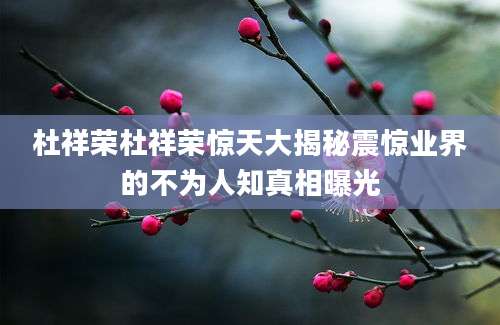 杜祥荣杜祥荣惊天大揭秘震惊业界的不为人知真相曝光
