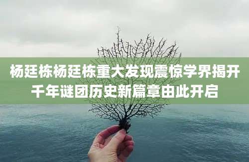 杨廷栋杨廷栋重大发现震惊学界揭开千年谜团历史新篇章由此开启