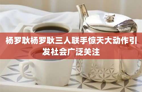杨罗耿杨罗耿三人联手惊天大动作引发社会广泛关注