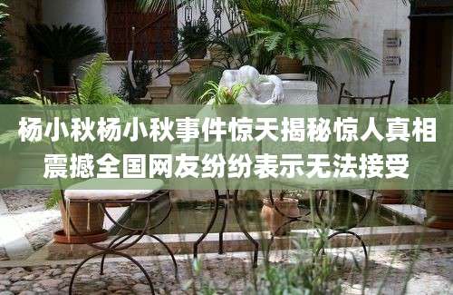杨小秋杨小秋事件惊天揭秘惊人真相震撼全国网友纷纷表示无法接受