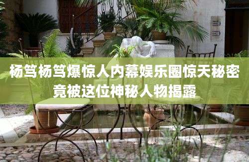 杨笃杨笃爆惊人内幕娱乐圈惊天秘密竟被这位神秘人物揭露