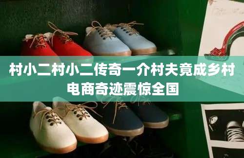 村小二村小二传奇一介村夫竟成乡村电商奇迹震惊全国