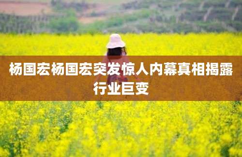杨国宏杨国宏突发惊人内幕真相揭露行业巨变