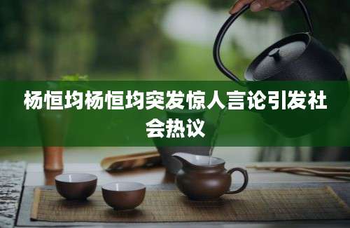 杨恒均杨恒均突发惊人言论引发社会热议
